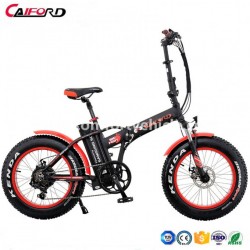 20inch Folding Electric Fat Bike for Snow with 350W/500W Rear Motor