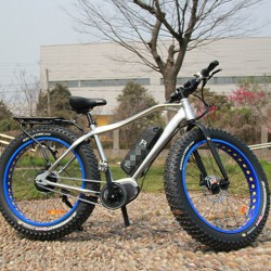 2018 Top and New Mountain Electric Bicycle with Banfang Central Motor
