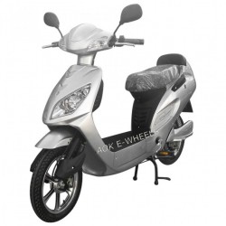 200W-500W 48V Electric Bike with Pedal (EB-012)