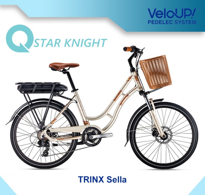 Euro Lady Style Ebike for Women Image1