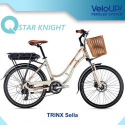 Euro Lady Style Ebike for Women