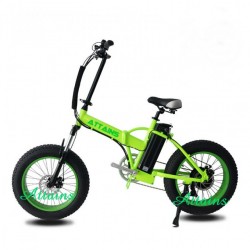 48 Volt Electric Bicycle Battery E-Bike Brushless Motor E Bicycle Long Range