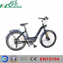Ce Approved Electric Bike Made in China