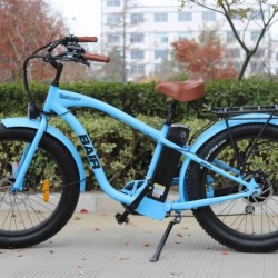 Ce Electric Bicycle with 8fun Motor