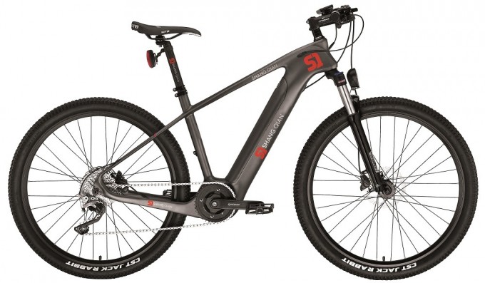 Carton Fibre Electric Bike Image1