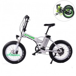 48V 500W/750W 20′′ Foldable E Bike Folding Fat Tire Beach Snow Electric Bike