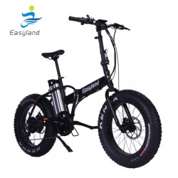 20 Inch Electric Folding E-Bike with Lithium Battery