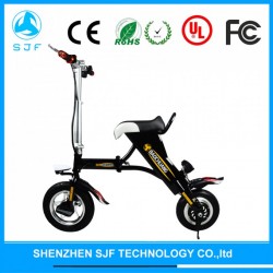 12" Adult Folding Electric Bike with Lithium Battery