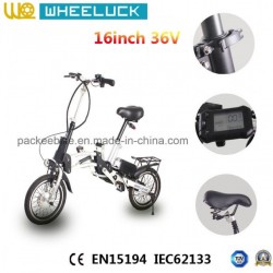CE 16-Inch 1 Second 