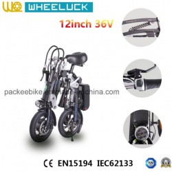 CE 12-Inch One Secon