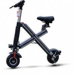 10 Inch Folding 250W Brushless Motor electrical Bike