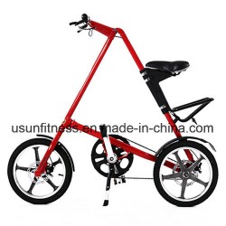 2018 New Products Folding Bike with Cheap Price (NY-FB001)