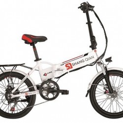 Folding City Electri