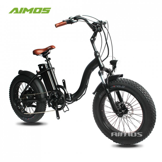Foldable Lady Foldable Bicycle Electric Image1