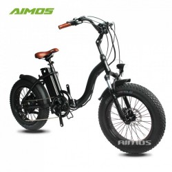 Foldable Lady Foldable Bicycle Electric