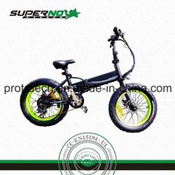 Disc Brake Folding Electric Bicycle with 8 Fun Motor