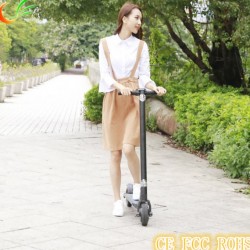 Newest Promotion Selling Aluminum Alloy Folded E-Bike for Riding