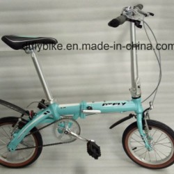 Folding Bike, Alloy Folding, Single Speed,