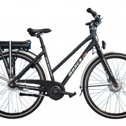 High Performance Folding Electric Bike E Bicycle Mobility Scooter Motorcycle Folding Bikes Vehicle