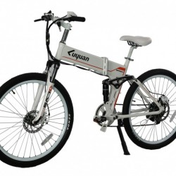 CE Pas Foldable Frame Battery Electric Bike (PB110)