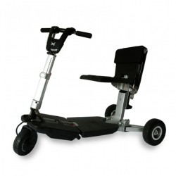 China 250W Brushless Gear Motor 3 Wheel Electric Folding Bike