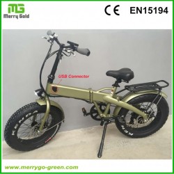 20" 250W Mini Fat Electric Folding Bike with Hidden Battery