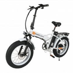 20 Inch Electric Fat