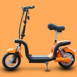 Electric Bike Folding E-Bike with 350W Motor