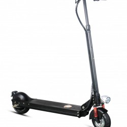 Folding 2 Wheels Electric Bicycle for Sale