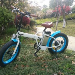 20′′36V 18A 250W Fat Tire Electric Folding Bicycle Moka