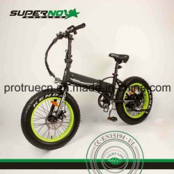 350W Foldable Electric Bicycle with 8 Fun Motor