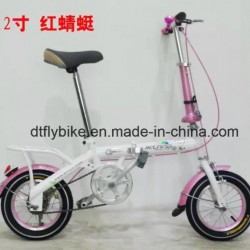12inch New Fashion Folding Bike, Folding Bicycle, Folding Children Bike
