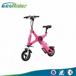 Electric Bicycle Foldable with Panasonic Lithium Battery 36V