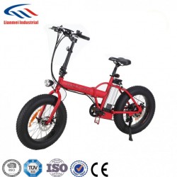 Electric Folding Bike Ebicycle -Lmtdr-03L-2