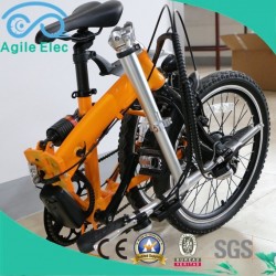 36V 250W Folding Electric Bike with 36V Hub Battery