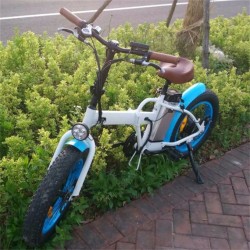 Foldable Electric Bicycle Fat Tire Folding Bike for Kids