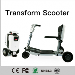 48V 250W Three Wheel Scooter Folding/Fpldable Electric Bike for Children