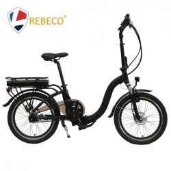 High Quality 36V Folding Electric Bike for Lady