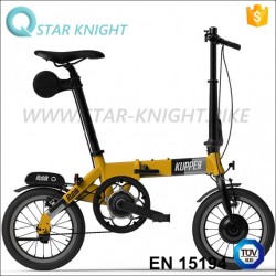 14 Inch 36V 250W Folding Electric Bike with Lithium Battery