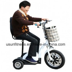 48V 500W Folding Electric Scooter, Motorcycle, E Bicycle for Elderly