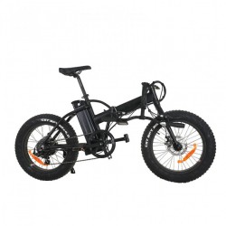 Foldable Bike 36V 14