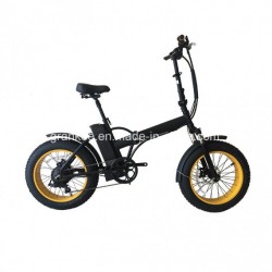 250W 36V Fat 20 Inch Folding Electric Bike Bicycle