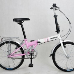 Beautiful Single Speed Folding Bicycles (FP-FDB-D002)