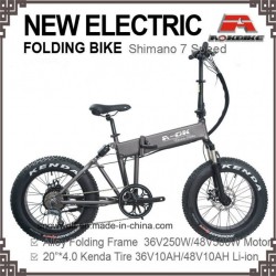 20 Inch Electric Folding Bike Folded Bicycle