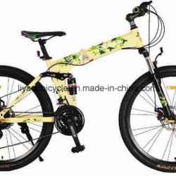 Steel Frame Disc Brake Folding Bike