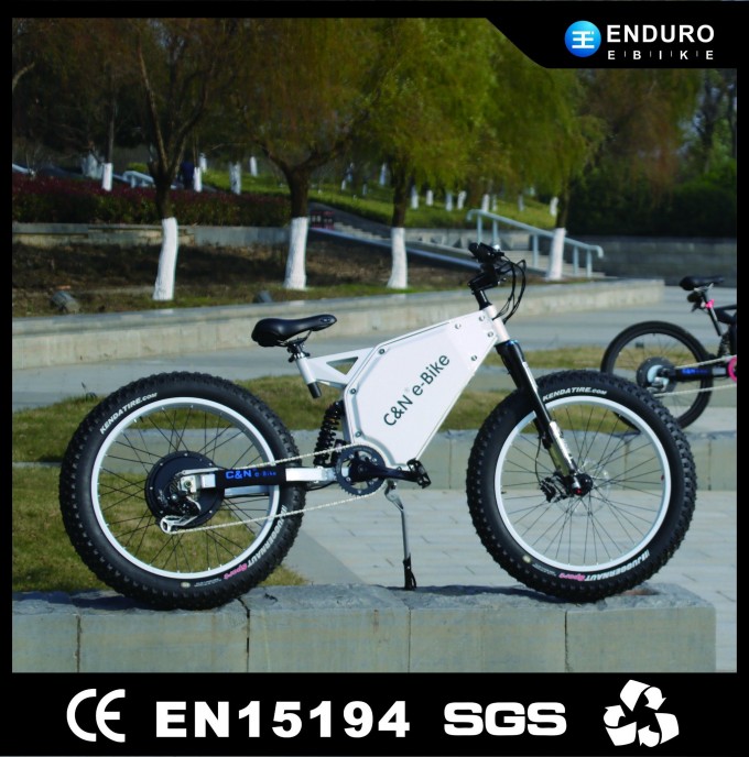 Li-ion Battery Chinese 26 Inch No Foldable Electric Fat Bike Image1