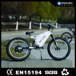 Li-ion Battery Chinese 26 Inch No Foldable Electric Fat Bike