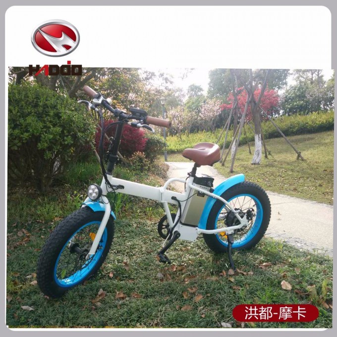 2017 Deign Folding Fat Tyre Electric Bike Mountain for Adult Image1