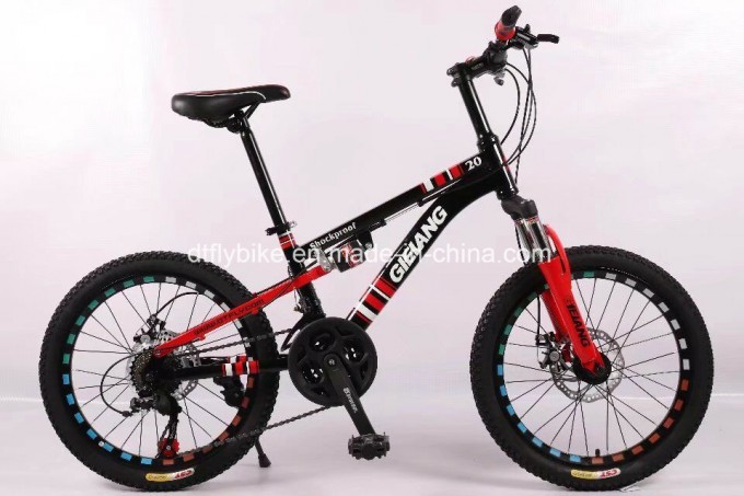20inch Steel Suspension Frame MTB Bike, Disc Brake, Shimano 21speed Image1