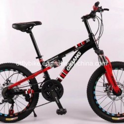 20inch Steel Suspension Frame MTB Bike, Disc Brake, Shimano 21speed